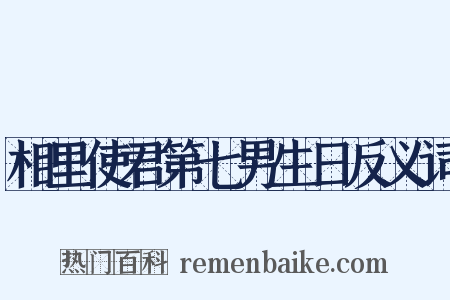 相里使君第七男生日反义词是什么意思的图片